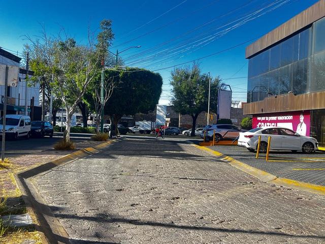 Foto de la galeria de imagenes